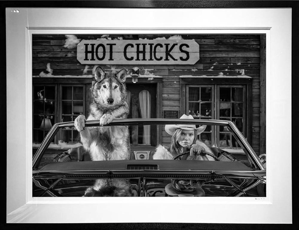Hot Chicks 10350